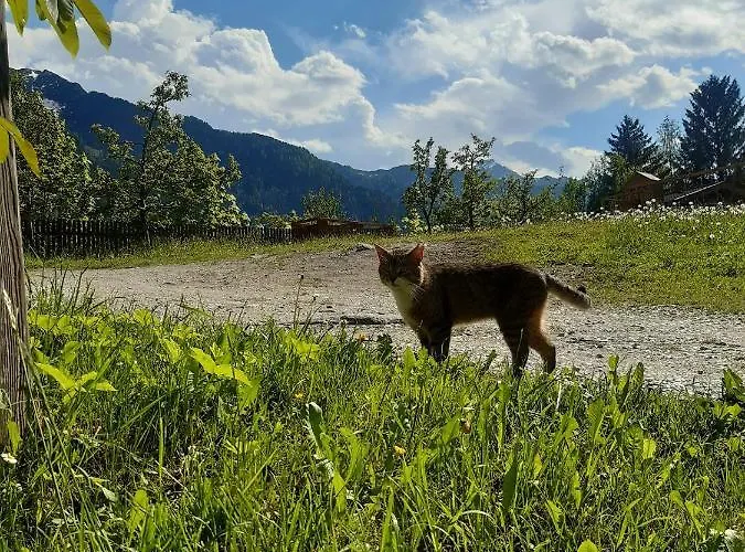 - Schmirnerhof Brandberg