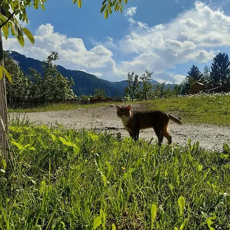 - Schmirnerhof Brandberg